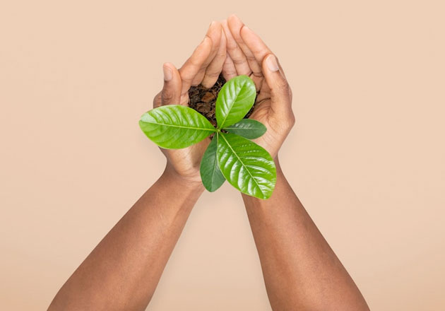 Sustainability